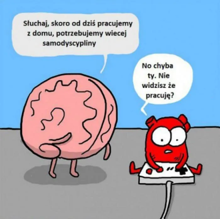 samodyscyplina praca w domu